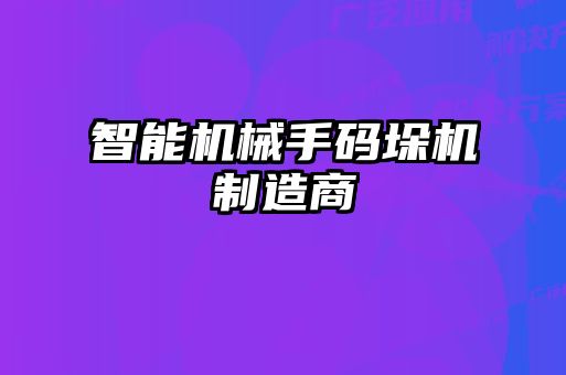 智能机械手码垛机制造商