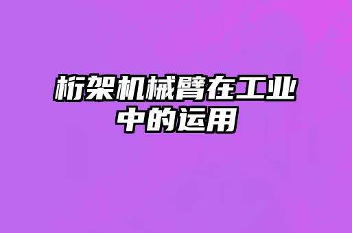 桁架机械臂在工业中的运用
