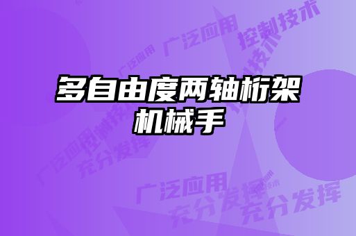 多自由度两轴桁架机械手