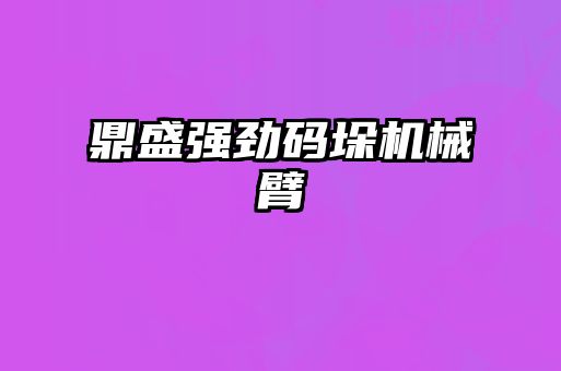 鼎盛强劲码垛机械臂