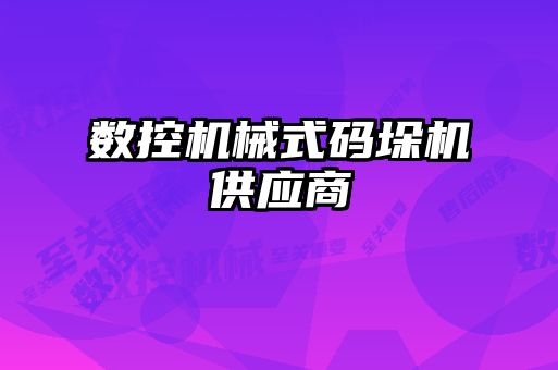 数控机械式码垛机供应商