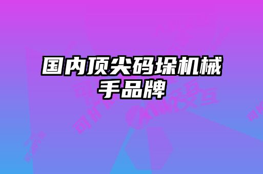 国内顶尖码垛机械手品牌
