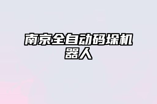 南京全自动码垛机器人