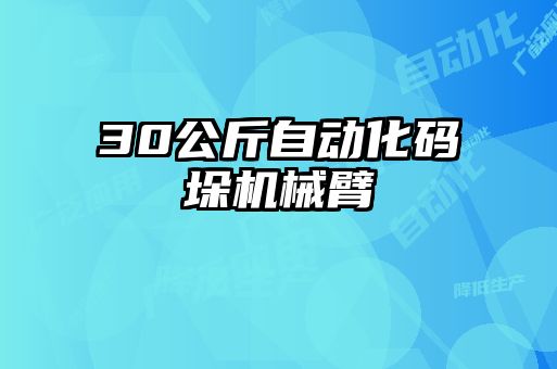 30公斤自动化码垛机械臂