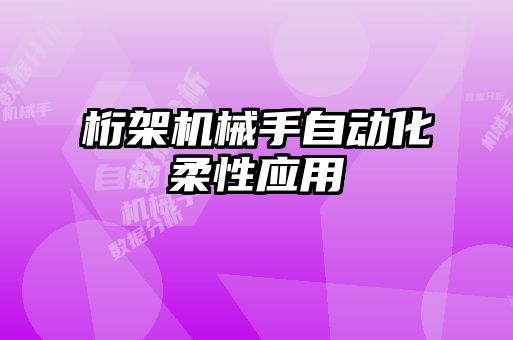 桁架机械手自动化柔性应用