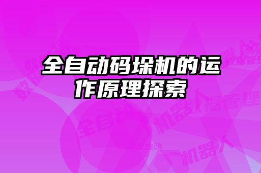 全自动码垛机的运作原理探索