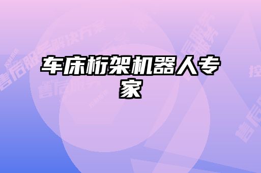 车床桁架机器人专家