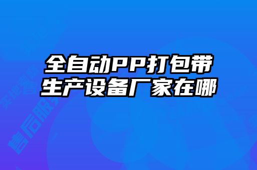 全自动PP打包带生产设备厂家在哪