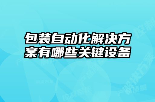 包装自动化解决方案有哪些关键设备