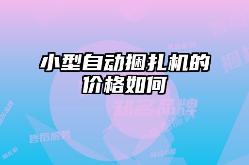 小型自动捆扎机的价格如何