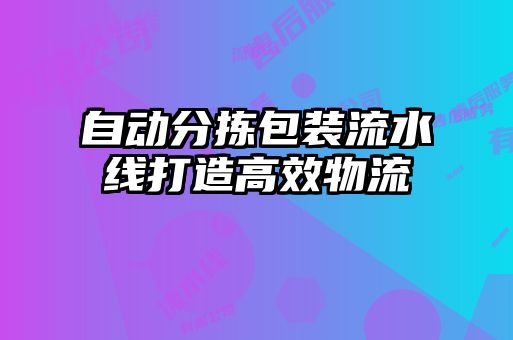 自动分拣包装流水线打造高效物流