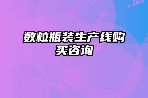 数粒瓶装生产线购买咨询