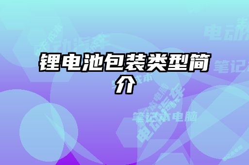 锂电池包装类型简介