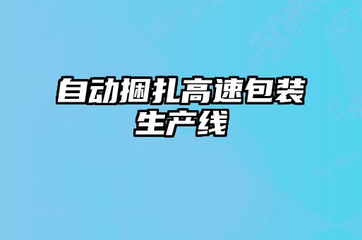 自动捆扎高速包装生产线