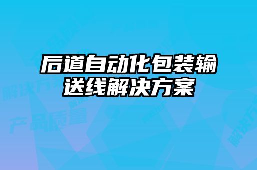 后道自动化包装输送线解决方案