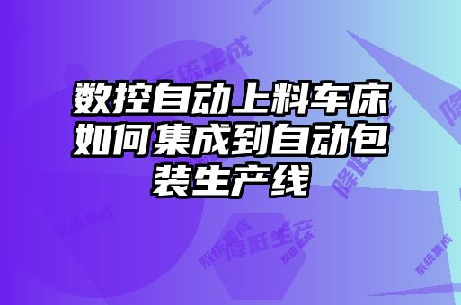 数控自动上料车床如何集成到自动包装生产线
