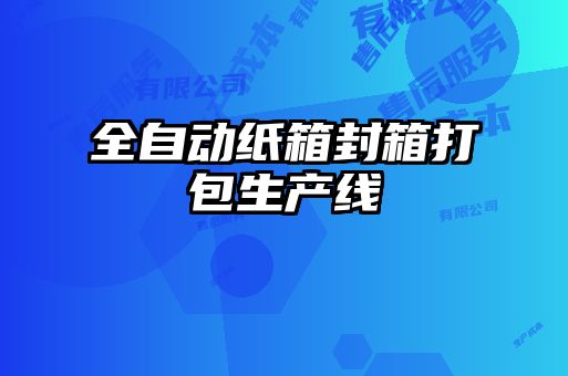全自动纸箱封箱打包生产线