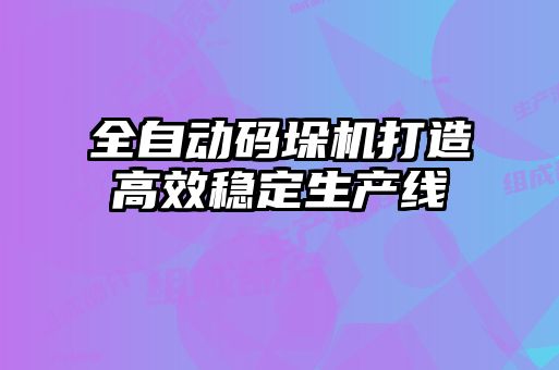 全自动码垛机打造高效稳定生产线