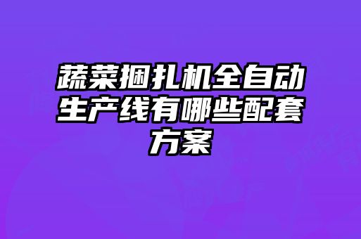 蔬菜捆扎机全自动生产线有哪些配套方案