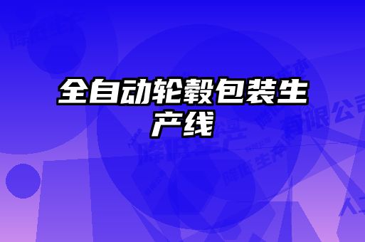 全自动轮毂包装生产线