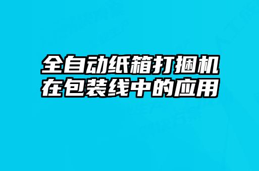 全自动纸箱打捆机在包装线中的应用