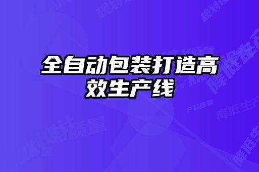 全自动包装打造高效生产线