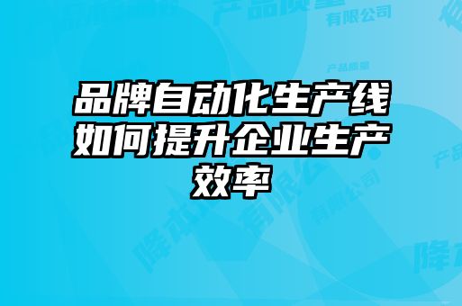 品牌自动化生产线如何提升企业生产效率