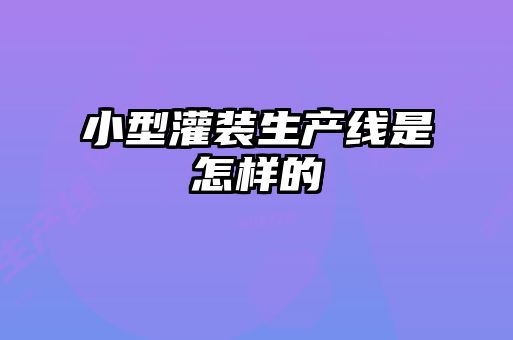 小型灌装生产线是怎样的