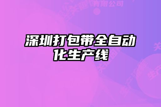 深圳打包带全自动化生产线