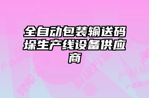 全自动包装输送码垛生产线设备供应商