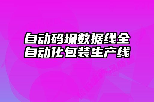自动码垛数据线全自动化包装生产线