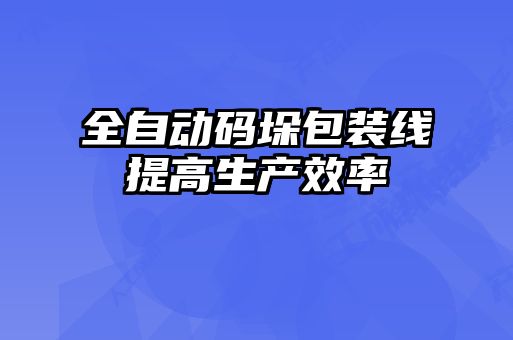 全自动码垛包装线提高生产效率
