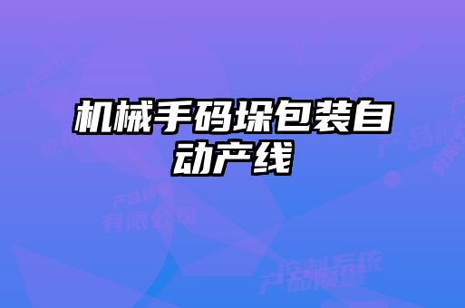 机械手码垛包装自动产线