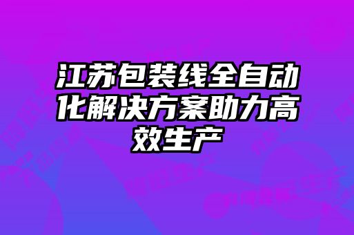 江苏包装线全自动化解决方案助力高效生产