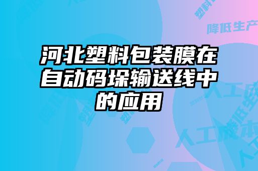 河北塑料包装膜在自动码垛输送线中的应用