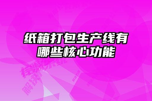 纸箱打包生产线有哪些核心功能