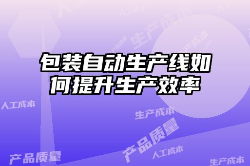 包装自动生产线如何提升生产效率