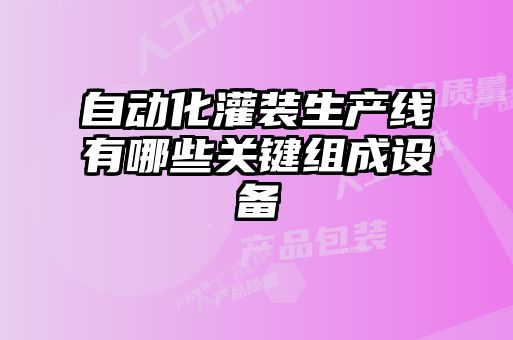 自动化灌装生产线有哪些关键组成设备