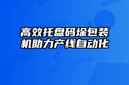 高效托盘码垛包装机助力产线自动化