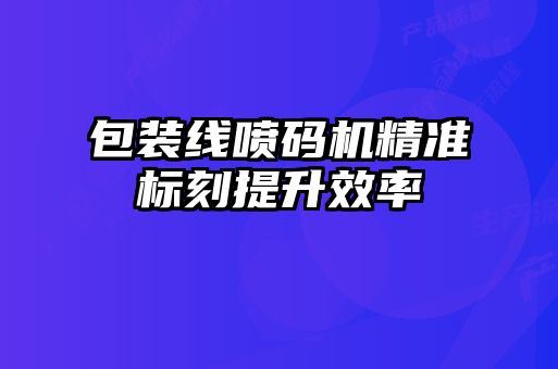 包装线喷码机精准标刻提升效率