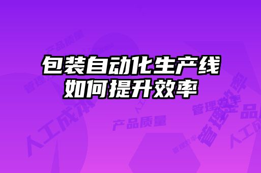 包装自动化生产线如何提升效率