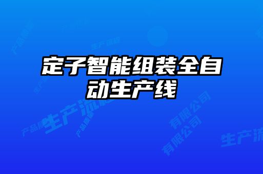 定子智能组装全自动生产线