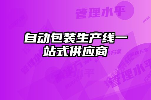 自动包装生产线一站式供应商