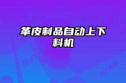 革皮制品自动上下料机