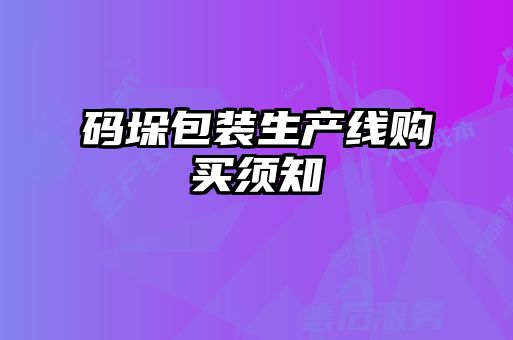 码垛包装生产线购买须知