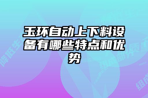 玉环自动上下料设备有哪些特点和优势