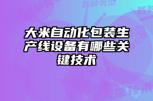 大米自动化包装生产线设备有哪些关键技术