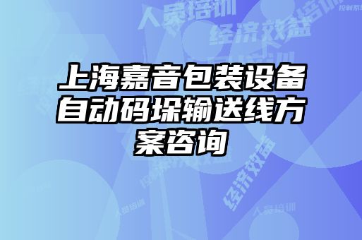 上海嘉音包装设备自动码垛输送线方案咨询