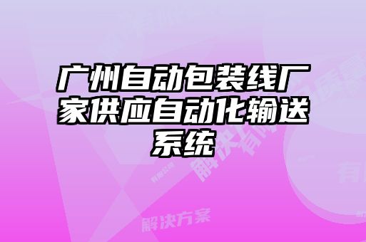 广州自动包装线厂家供应自动化输送系统