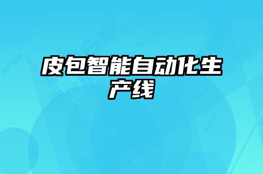 皮包智能自动化生产线